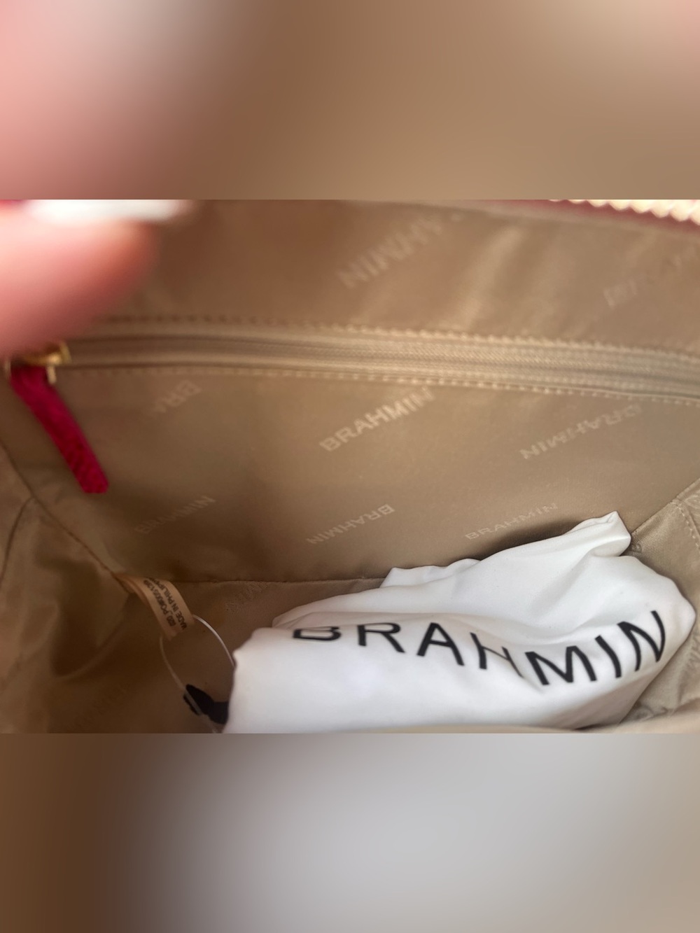 NWT BRAHMIN TORI in AFFECTION MELBOURNE OMBRE - Picture 10 of 17
